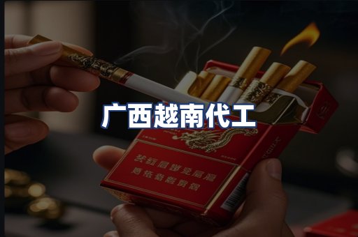 广西越南代工